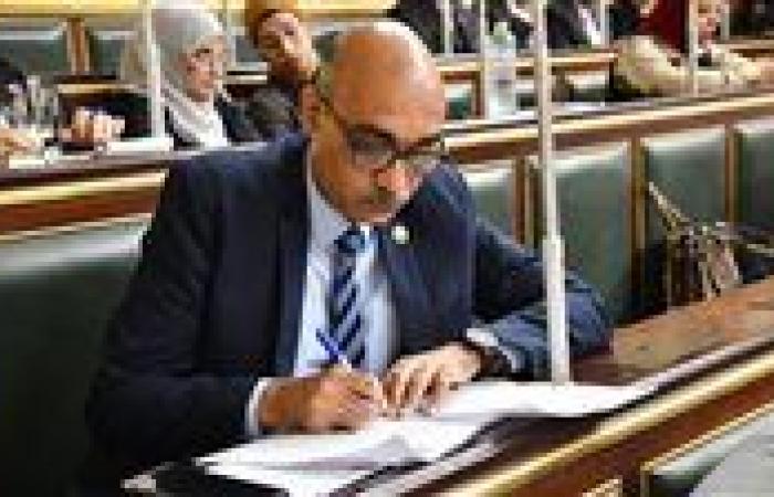 "في ناس بتغمس لقمتها حاف.. رئيس برلمانية المصري الديمقراطي يرفض مشروع التعليم الجديد: النظام جيد لكن غابت عنه التفاصيل حول مدى نجاحه في ظل البنية التحتية