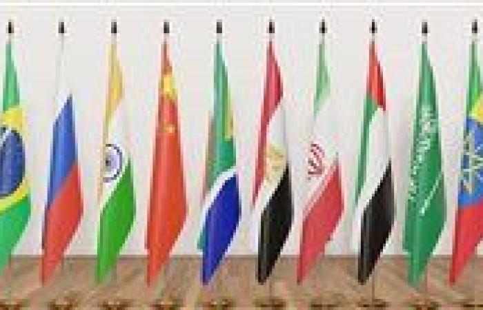 أستاذ الاقتصاد: انضمام مصر لـ«البيركس» يفتح الباب أمام فرص غير مسبوقة لتعزيز التبادل التجاري والاستثماري