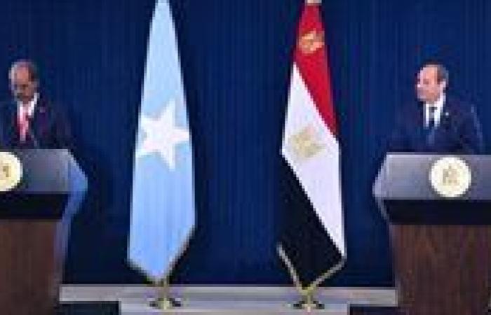 عاجل.. السيسي: توافق مصري صومالي على استمرار التعاون لتحقيق أمن البحر الأحمر