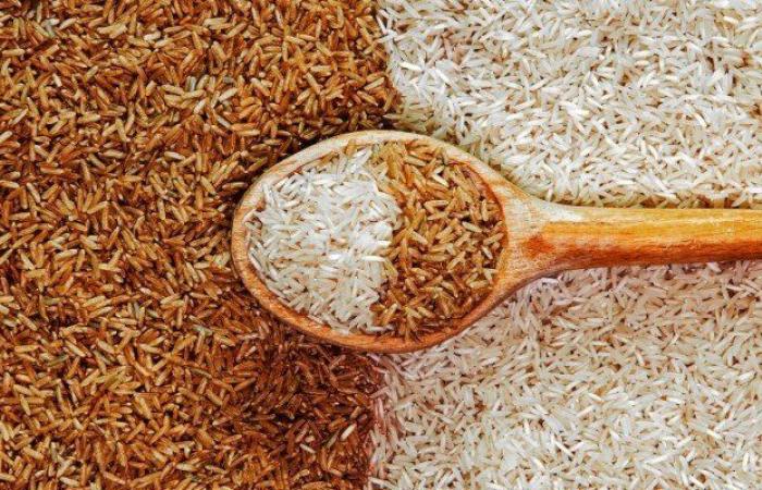 الطن بكام؟.. سعر الأرز الشعير اليوم الثلاثاء 8 يوليو 2025