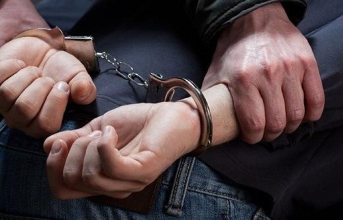 حملات أمنية مكثفة لضبط تجار المخدرات والأسلحة وتنفيذ الأحكام القضائية بأسوان ودمياط