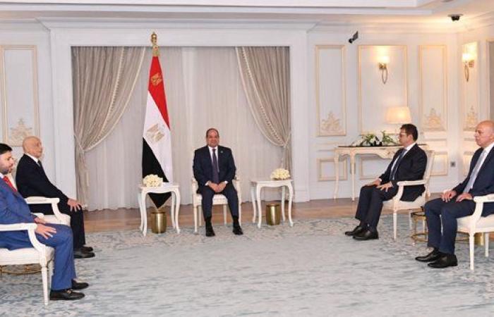 دعم الصومال وليبيا وجذب المزيد من الاستثمارات الصينة تتصدر رسائل السيسي الخارجية