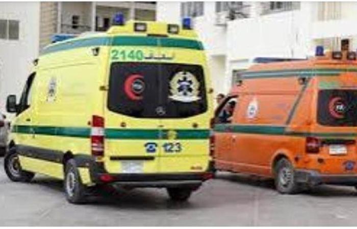 بالأسماء.. إصابة 4 أشخاص في خلاف على قطعة أرض بقنا