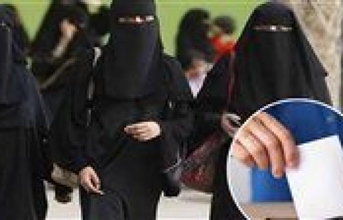هل يجوز للمرأة المنتقبة التصويت في الانتخابات دون كشف النقاب؟