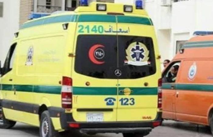 قرارات هامة للنيابة العامة بشأن وفاة وإصابة 6 أطفال بالمنيا
