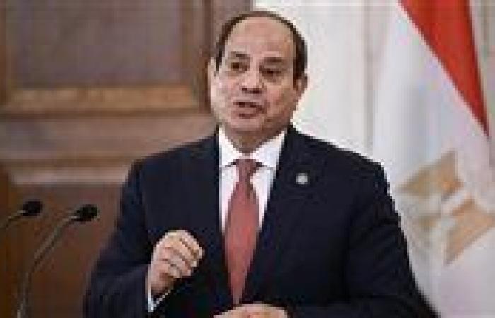 السيسي يصدق على تعديل اتفاقية للبحث عن البترول بمنطقة تنمية جنوب الضبعة