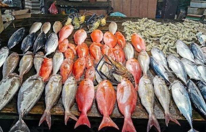 بالبلدي: البلطي
      بـ80
      جنيهًا..
      أسعار
      الأسماك
      والجمبري
      اليوم
      الثلاثاء
      15
      يوليو
      2025