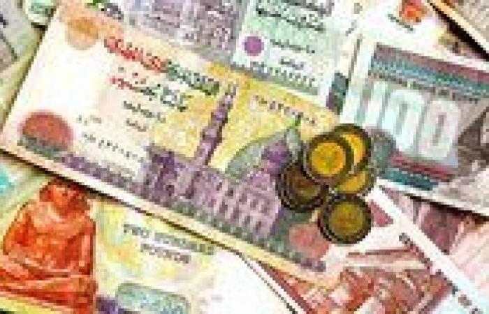 اليورو والريال السعودي.. أسعار العملات العربية والأجنبية اليوم