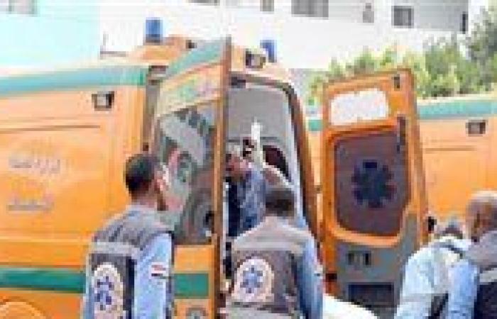 مصرع فتاة أسفل عجلات قطار بخط "طنطا ـ المنصورة"
