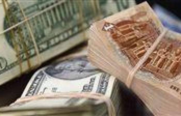 عاجل.. "جولدمان" ساكس يكشف توقعاته لسعر الدولار والفائدة في مصر
