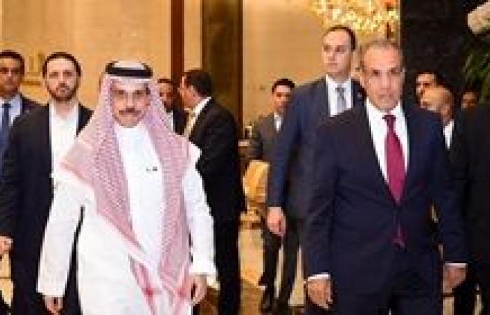 وزير الخارجية: نرفض أى محاولات يائسة للمساس بالعلاقات المصرية - السعودية