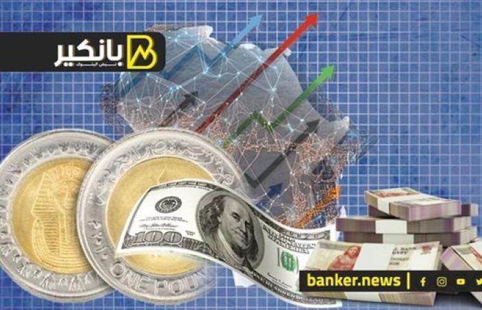 الجنيه هيبقى عملة دولية ووداعا للدولار.. السيسي ...
