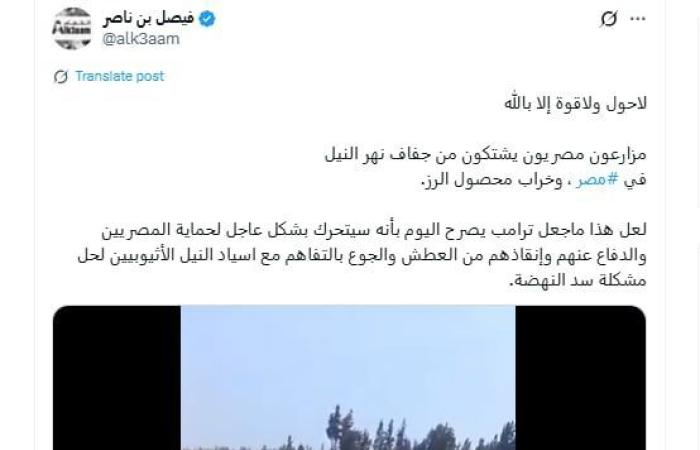 belbalady فيديو متداول لـ"جفاف أراضي محصول الأرز" في مصر.. ما حقيقته؟