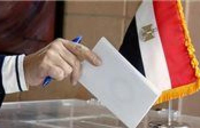 اليوم.. انطلاق الدعاية الانتخابية لمجلس الشيوخ 2025 والإعلان عن القائمة النهائية للمرشحين.. تفاصيل