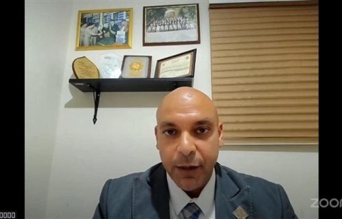 التنسيقية تشارك في اجتماع اتحاد المصريين بالخارج بشأن النتخابات الشيوخ
