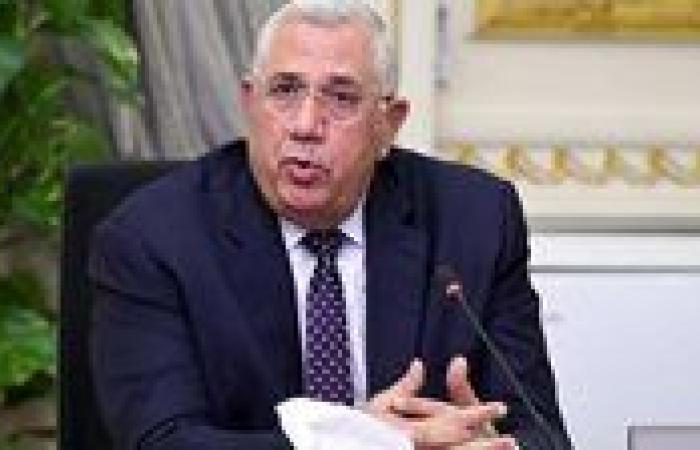عاجل| أمين "الجبهة الوطنية" يوجه رسالة مهمة بشأن انتخابات الشيوخ: "هذه الحالة تُبطل الصوت"