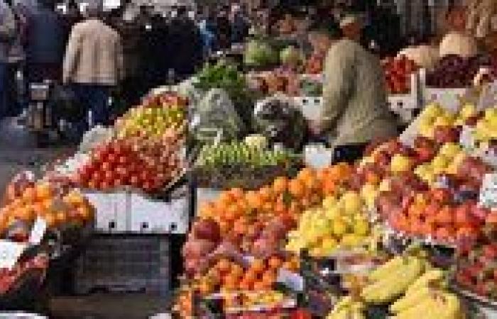 شعبة الخضروات والفاكهة توضح أسباب ارتفاع الأسعار