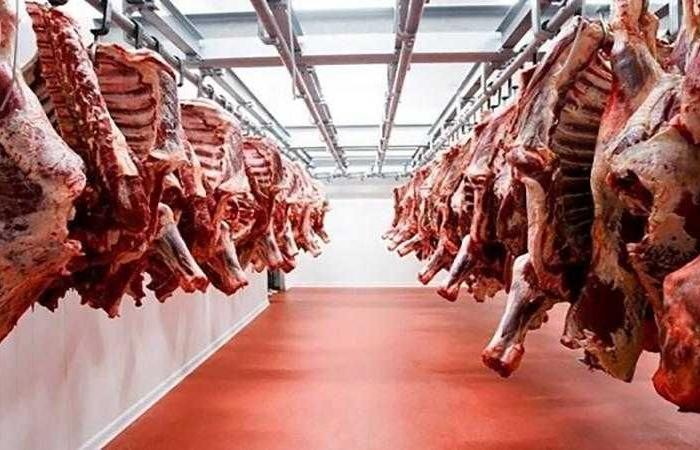 أسعار اللحوم الحمراء اليوم الاربعاء