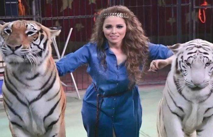 مصر.. حبس أنوسة كوتة 3 أشهر وإلزامها بتعويض 100 ألف جنيه في قضية "عامل سيرك طنطا"