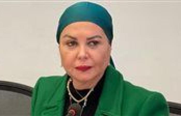 النائبة أمل سلامة عن دعوات التجمهر أمام سفارات مصر بالخارج: تدعو الفوضي الخلاقة مثل ما حدث في 25 يناير من دعوات فصيل الإخوان