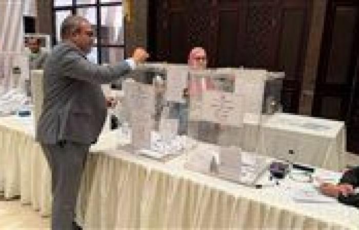 إقبال كبير من المصريين في الكويت على التصويت بانتخابات مجلس الشيوخ