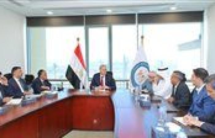 مصر تتعاون مع شركات عالمية ومحلية لتنفيذ مشروع المسح الجوي للمعادن