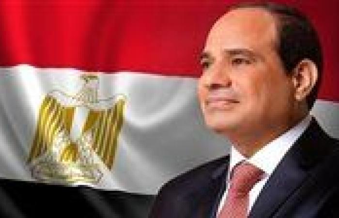 أمين عام تحالف الأحزاب المصرية للرئيس السيسي: دعمكم لغزة وموقفكم الحاسم رسالة أن مصر لا تتأخر عن الحق