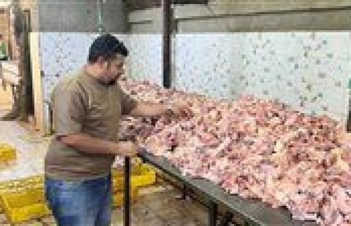 بيطري الجيزة يضبط 13557 كجم من اللحوم والدواجن الفاسدة خلال حملات مكبرة