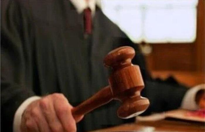 غدًا.. استكمال محاكمة المتهمين بـ «الخلية الإعلامية»