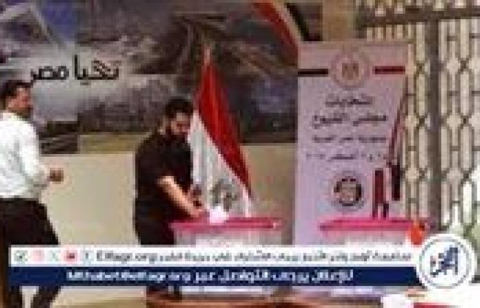 الهيئة الوطنية تعلن نتائج الجولة الأولى من انتخابات مجلس الشيوخ 2025