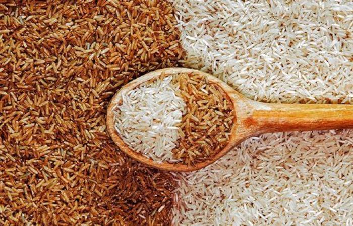استقرار لافت.. سعر الأرز الشعير اليوم الأربعاء 13 أغسطس 2025 في الأسواق