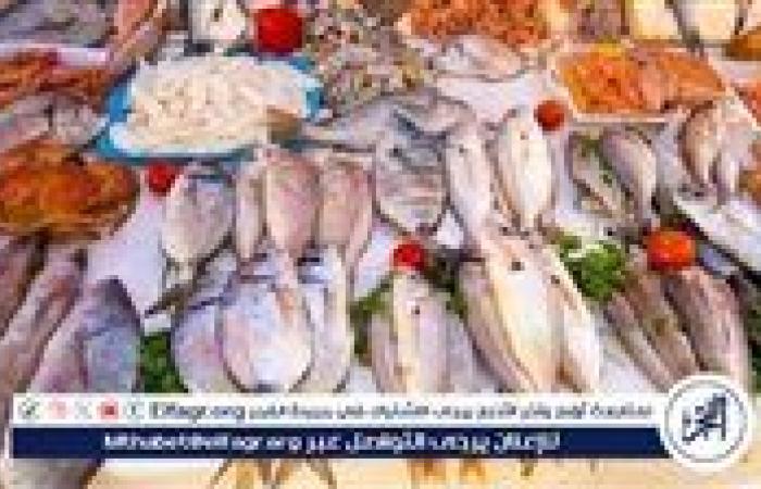 أسعار السمك البلطي والبوري اليوم الاربعاء 13-8-2025 في محافظة قنا