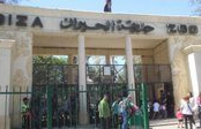 بعد 18 شهرًا من الإغلاق.. حديقة حيوان الجيزة تعود في سبتمبر
