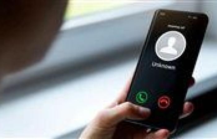 عاجل.. حقيقة فرض رسوم بقيمة 10 قروش على متلقي المكالمة
