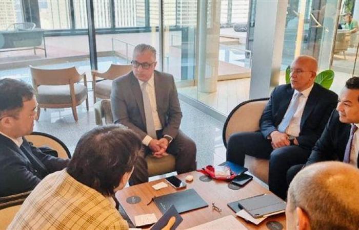 جمال الدين: محطة "الرورو" بشرق بورسعيد ركيزة لتوطين صناعة السيارات داخل المنطقة الاقتصادية