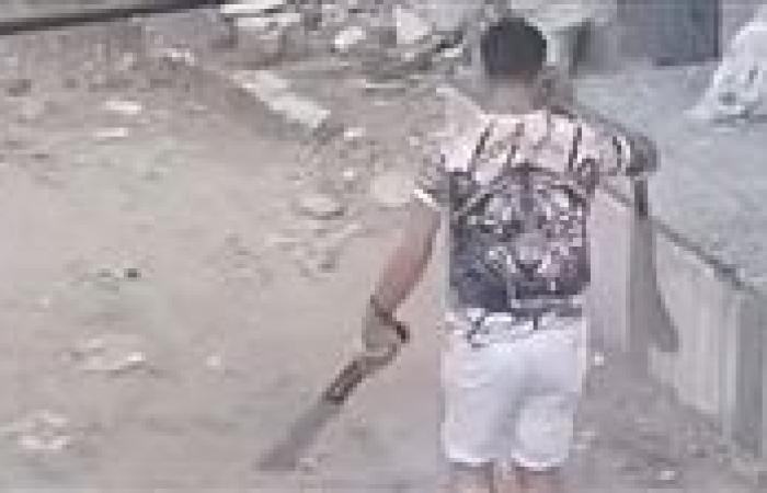 ضبط أحد الأشخاص بالتلويح بسلاح أبيض في كفرالشيخ