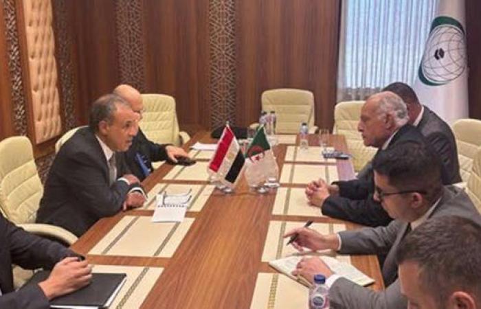 وزيرا خارجية مصر والجزائر يبحثان تعزيز التعاون الثنائي والتنسيق حول غزة وليبيا
