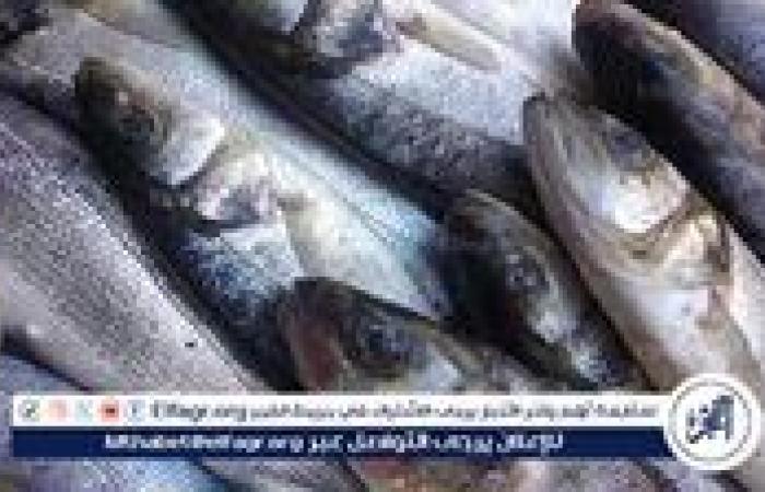 أسعار السمك اليوم الاثنين 1-9-2025 في محافظة قنا