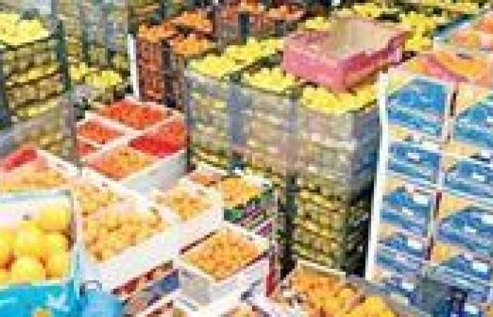 الصادرات الغذائية المصرية : أداء قياسي وطلب متزايد من 186 دولة