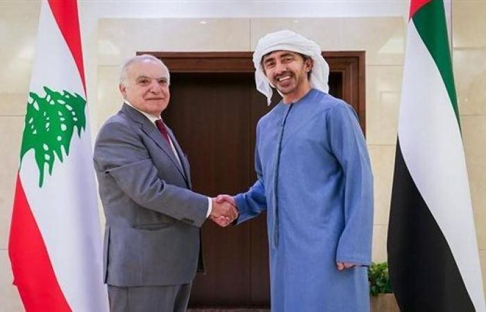 الإمارات ولبنان يبحثان المستجدات على الساحة اللبنانية