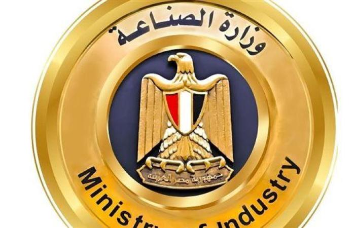 عاجل.. وزارة الصناعة تنفي إلغاء بروتوكول الشحن الصيني الخاص بالسيارات الكهربائية