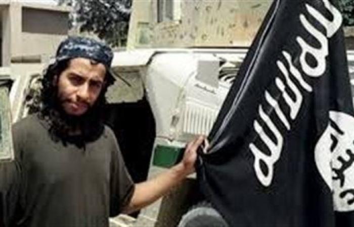 مشروعية زائفة.. حين يتحول الموت إلى سلعة.. قراءة فى خطاب الشهادة الداعشى