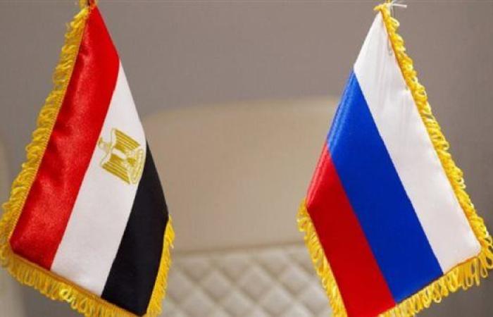 حجم التبادل التجاري بين مصر وروسيا يرتفع لـ 6.4 مليار دولار