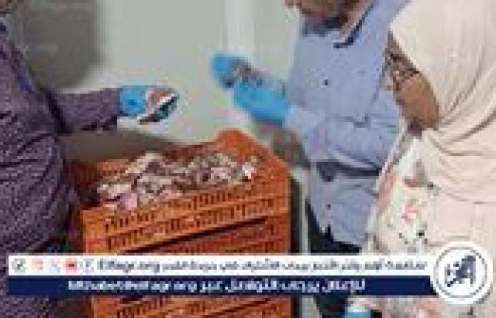تموين الدقهلية يداهم مركز تجهيز مطاعم غير مرخص بطلخا ويضبط لحومًا ودواجن وأجبانًا فاسدة