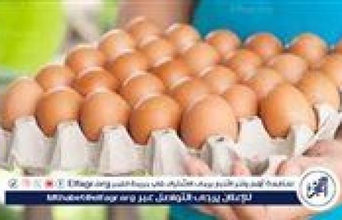 أسعار طبق البيض اليوم الخميس 11-9-2025 في قنا