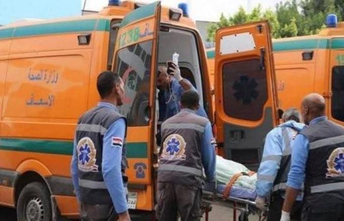 إصابة 10 أشخاص في انقلاب ميكروباص بالطريق الزراعي بالبحيرة