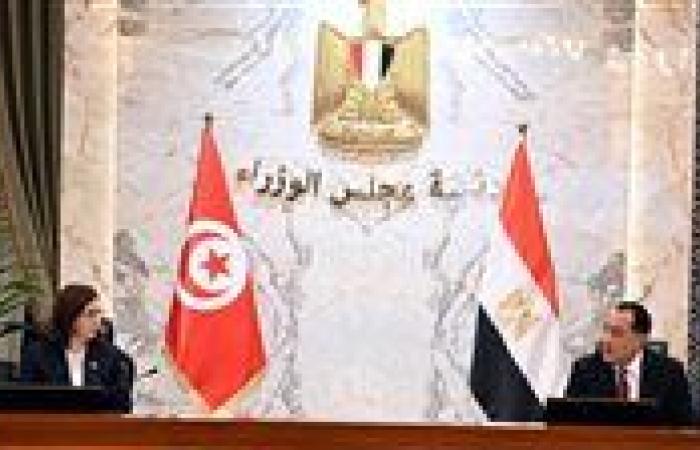 سارة الزعفراني: تونس تتوافق مع مصر على رفض التهجير ودعم إقامة الدولة الفلسطينية