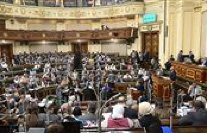 خارجية النواب: قرار الأمم المتحدة بشأن حل الدولتين انتصار تاريخي للحقوق الفلسطينية