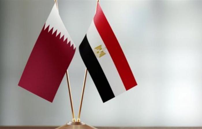 تعطيل العمل بالقسم القنصلى بسفارتنا فى الدوحة الاثنين تزامنا مع القمة العربية