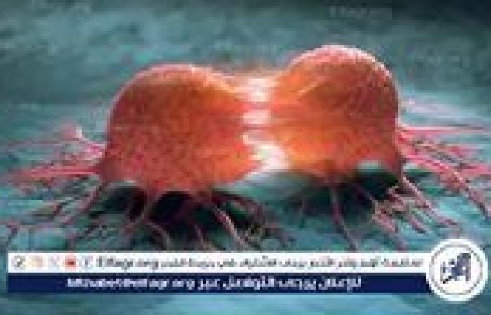 أطعمة طبيعية تساعد في تقليل خطر الإصابة بالسرطان
